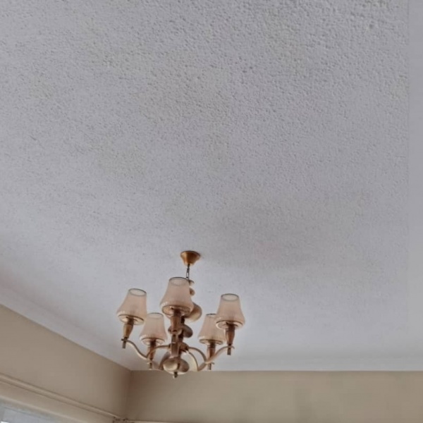 Flat Ceiling - MNT Contractors