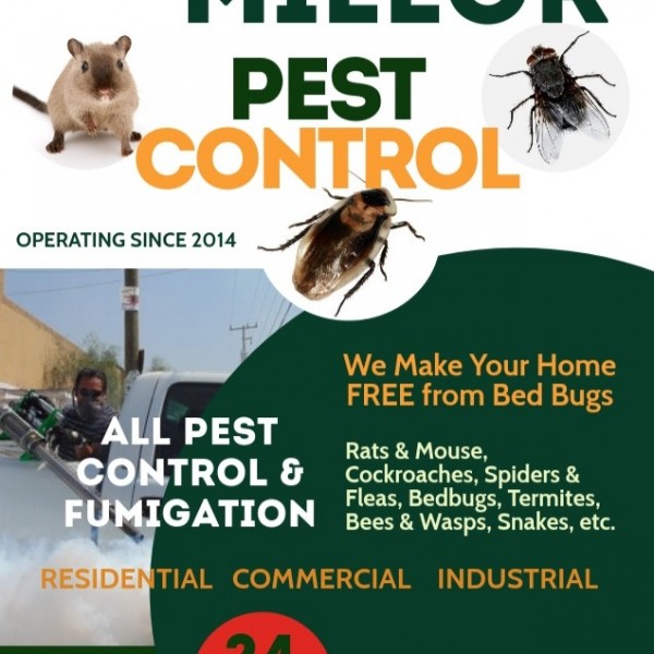 Fumigation &Pest Control Services in Harare - Millor Fumigation ...