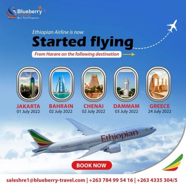 blueberry travel india private limited