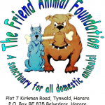 Friend Animal Foundation Harare - Contact Number, Email Address